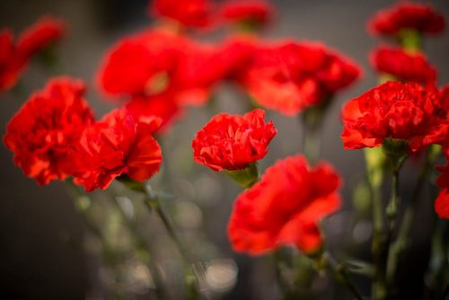 Tidningen V i Farsta